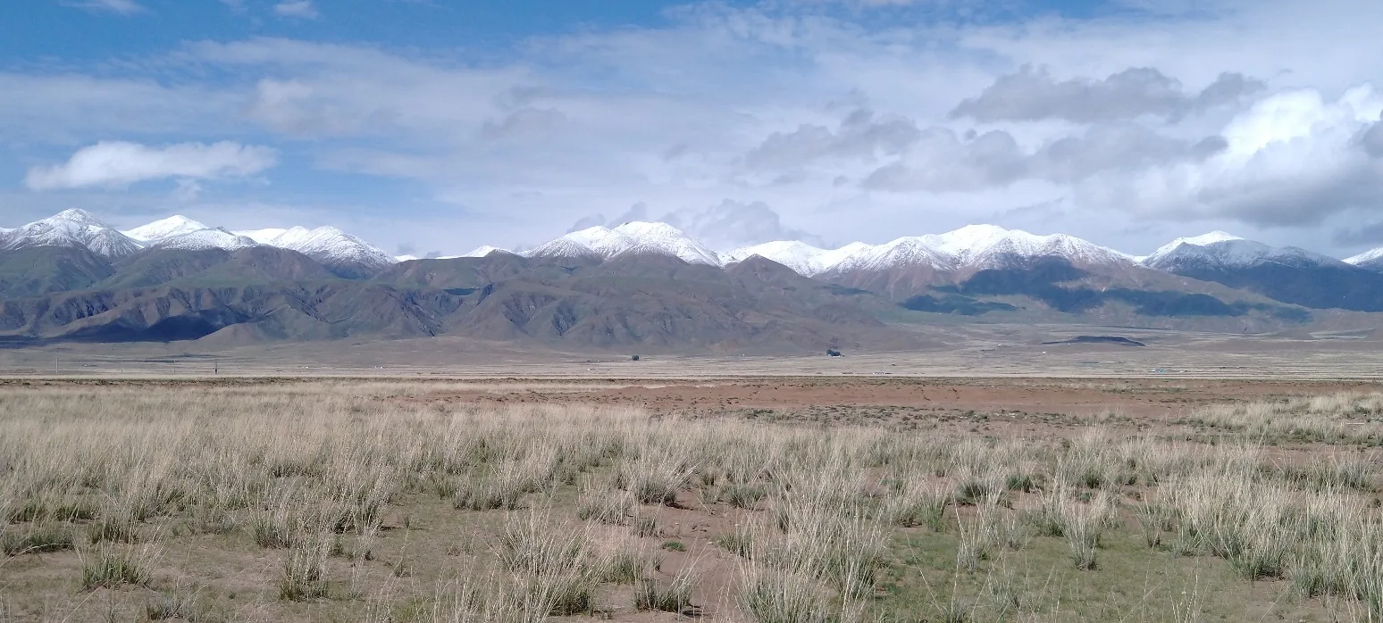 Dulan Plains, Qinghai © Mike Nelson / Birdtour Asia