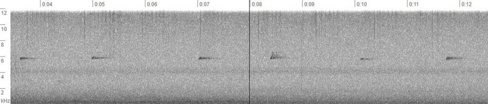 Pale-legged Leaf Warbler