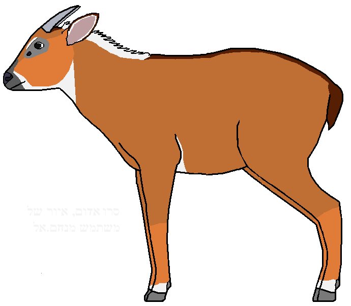 Red Serow